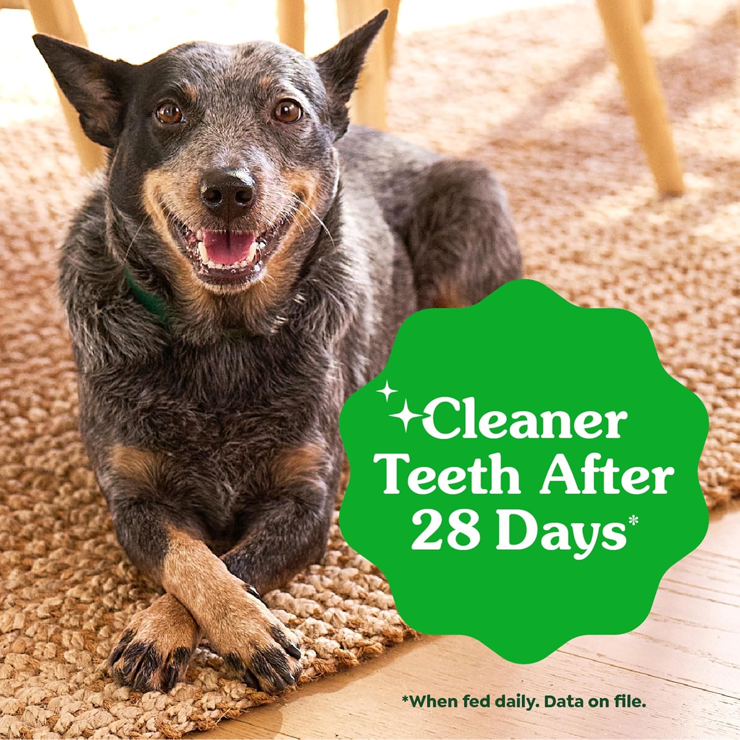 Greenies Teeny Dental Chews