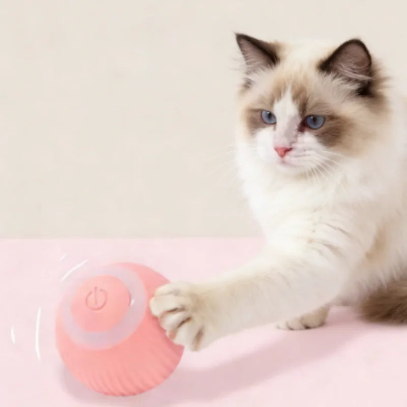 Smart Interactive Rolling Cat Ball